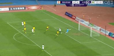 猫咪av网址